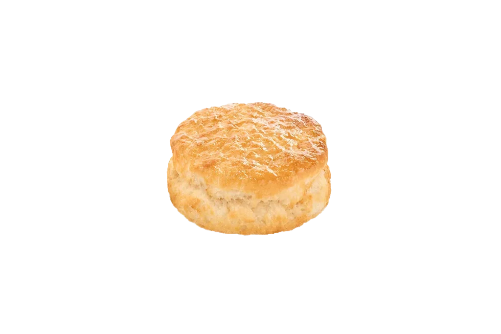 Plain Biscuit